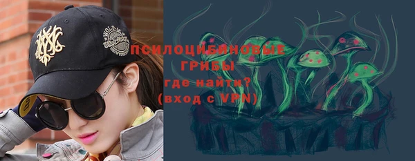 бошки Краснослободск