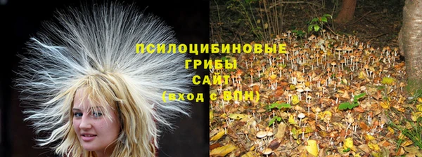 ПСИЛОЦИБИНОВЫЕ ГРИБЫ Красноперекопск