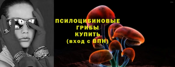 ПСИЛОЦИБИНОВЫЕ ГРИБЫ Красноперекопск