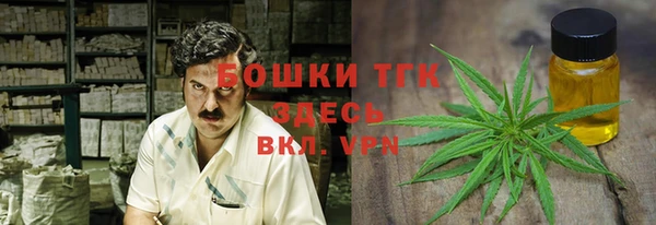 бошки Краснослободск